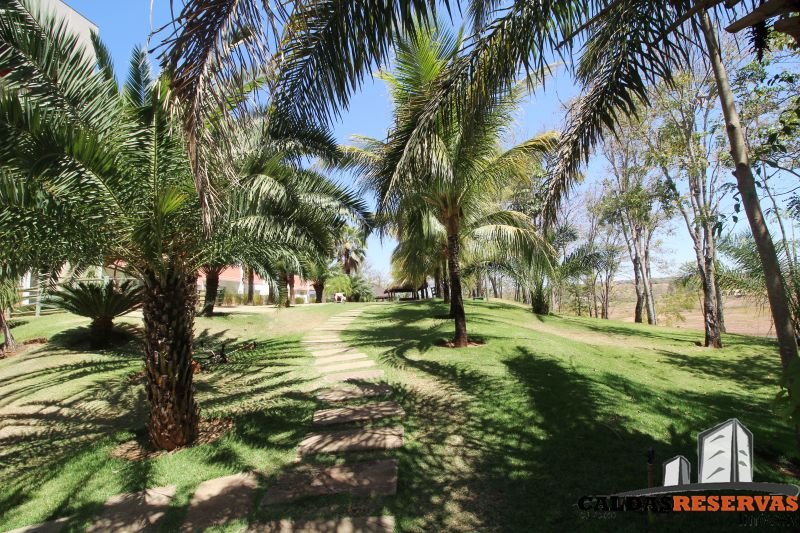 Foto de PONTAL DO LAGO